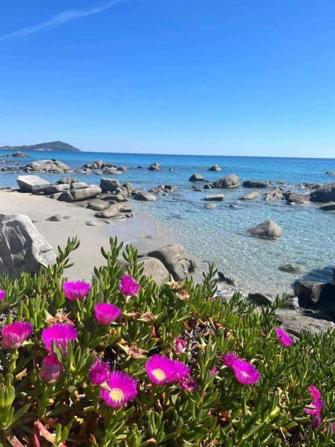 Villa Stella Fronte Mare Porto Frailis Àrbatax Dış mekan fotoğraf